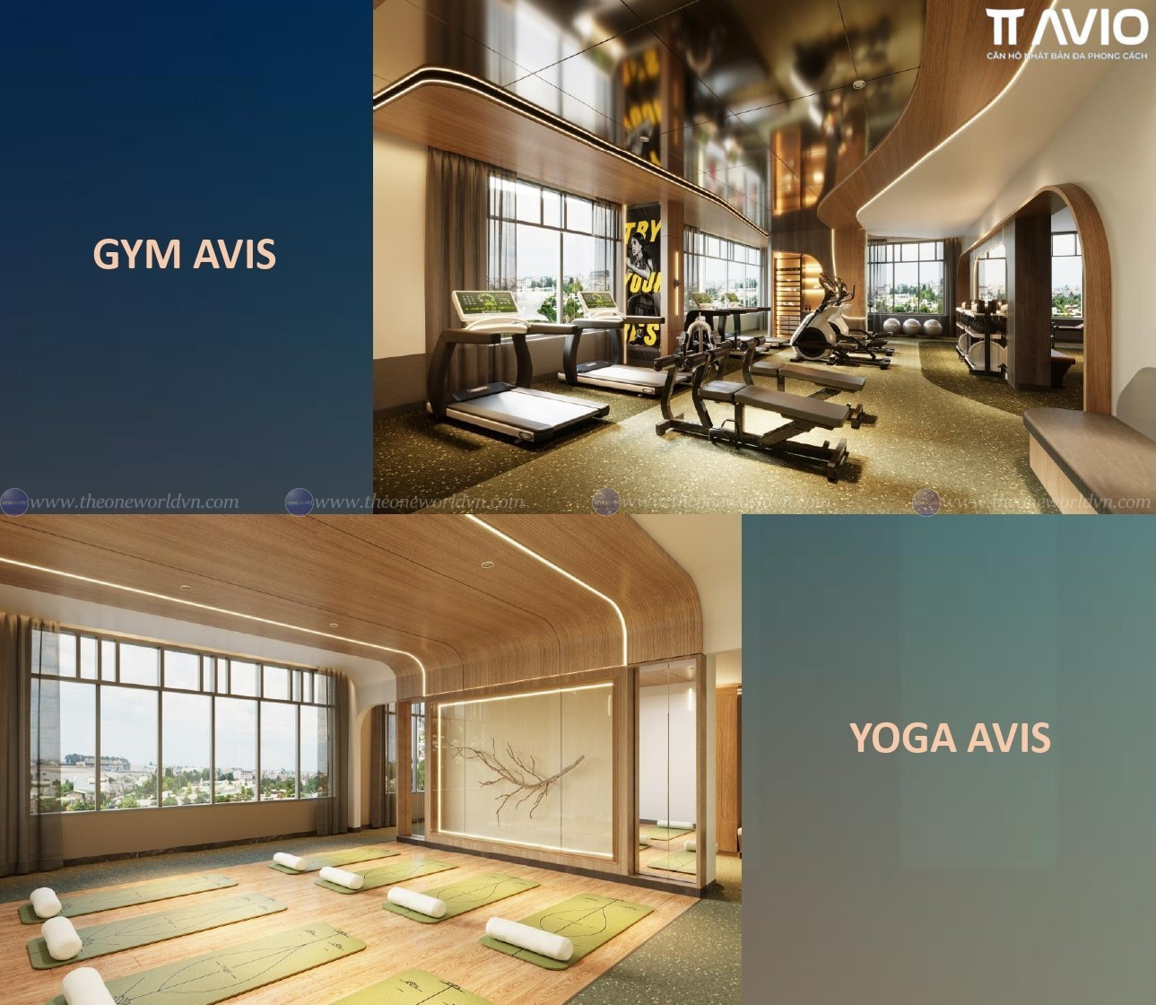 Gym And Yoga Tt Avio